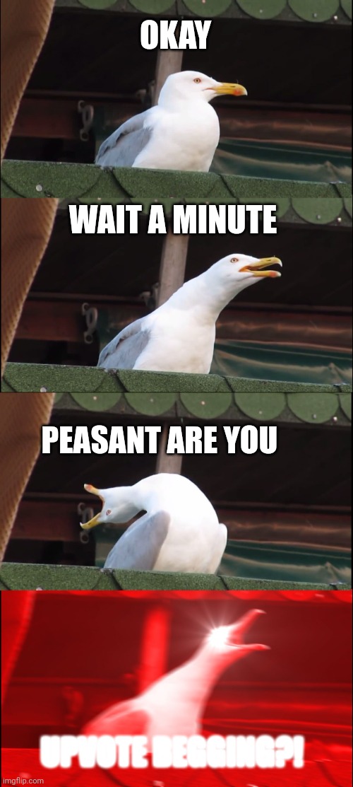 Average imgfliper | OKAY; WAIT A MINUTE; PEASANT ARE YOU; UPVOTE BEGGING?! | image tagged in memes,inhaling seagull | made w/ Imgflip meme maker