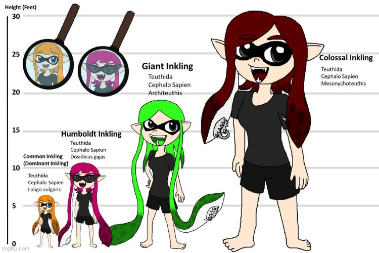 Inkling SubSpecies and Size Chart (Art and size chart by Rotommowtom) | made w/ Imgflip meme maker