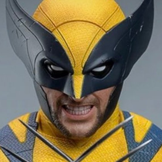High Quality Wolverine masked Blank Meme Template