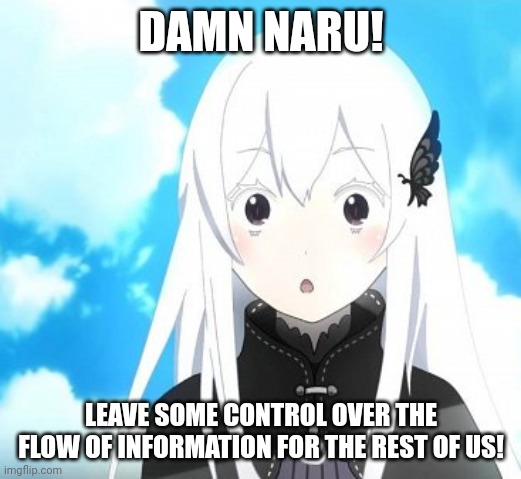 Echidna | DAMN NARU! LEAVE SOME CONTROL OVER THE FLOW OF INFORMATION FOR THE REST OF US! | image tagged in echidna | made w/ Imgflip meme maker