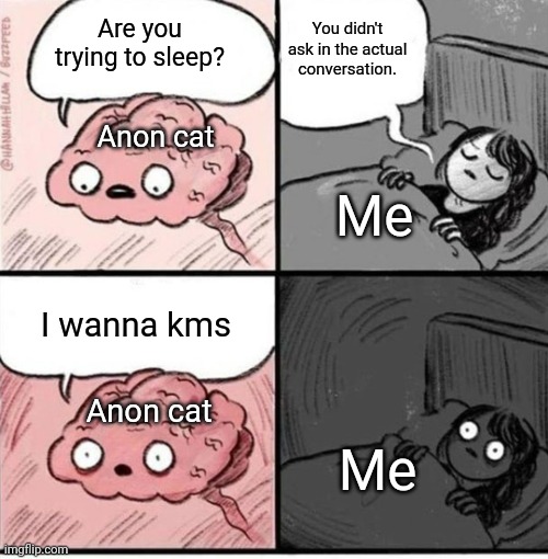 T_T | You didn't ask in the actual conversation. Are you trying to sleep? Anon cat; Me; I wanna kms; Anon cat; Me | image tagged in trying to sleep | made w/ Imgflip meme maker