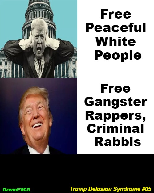 Trump Delusion Syndrome #05 | Free 

Peaceful 

White 

People; Free 

Gangster 

Rappers, 

Criminal 

Rabbis; Trump Delusion Syndrome #05; OzwinEVCG | image tagged in memes,drake hotline bling,trump derangement syndrome,trump delusion syndrome,january 6,occupied usa | made w/ Imgflip meme maker