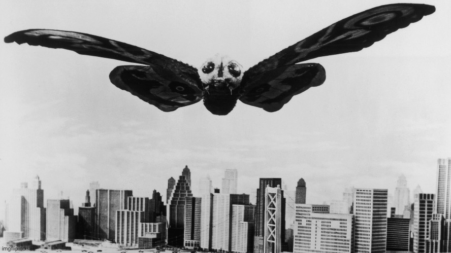 Mothra's day | image tagged in mothra's day | made w/ Imgflip meme maker