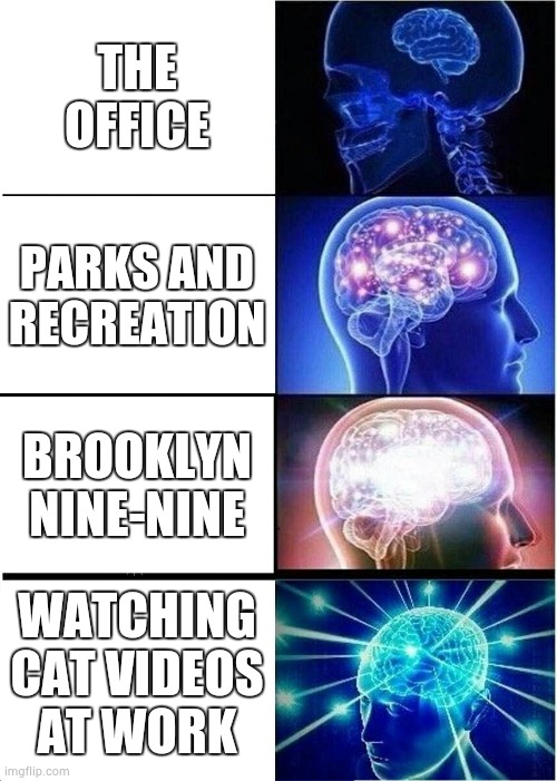 funny right......um ok | THE OFFICE; PARKS AND RECREATION; BROOKLYN NINE-NINE; WATCHING CAT VIDEOS AT WORK | image tagged in memes,expanding brain | made w/ Imgflip meme maker