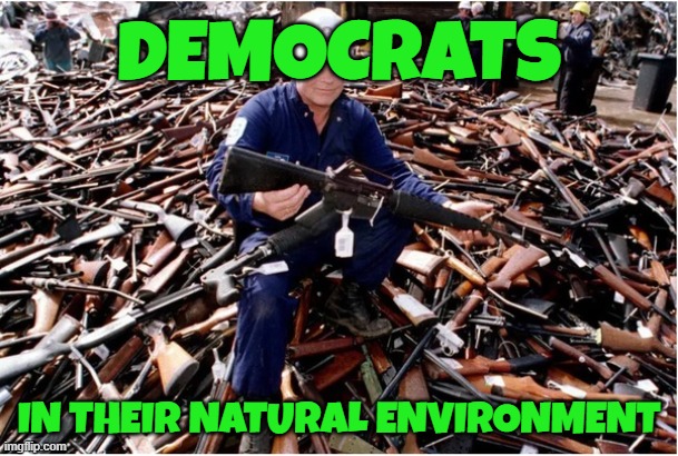 Gun Grabbers | DEMOCRATS; IN THEIR NATURAL ENVIRONMENT | image tagged in impeachment,trump impeachment,arrested,mugshot,make america great again,maga | made w/ Imgflip meme maker
