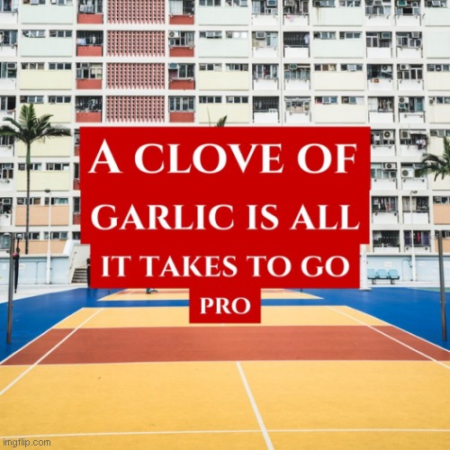 Garlic Pro | image tagged in memes,ai meme,ai generated,funny memes,funny,fun | made w/ Imgflip meme maker