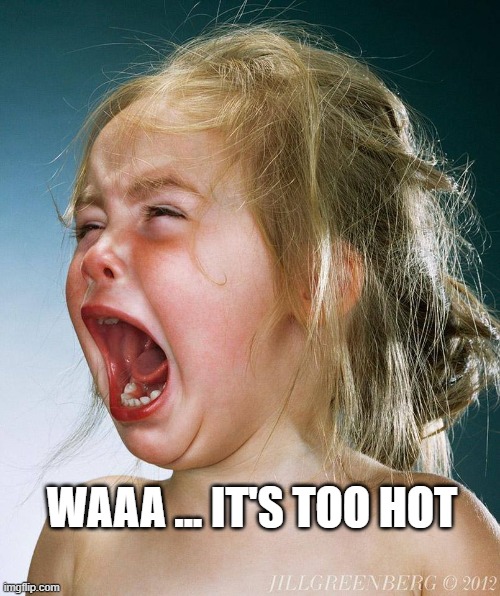 Heat, Too Hot | WAAA ... IT'S TOO HOT | image tagged in heattoo hot | made w/ Imgflip meme maker