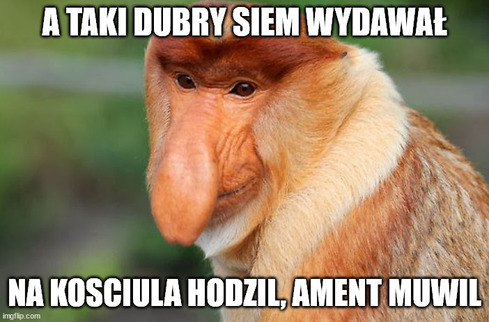 nosacz | A TAKI DUBRY SIEM WYDAWAŁ; NA KOSCIULA HODZIL, AMENT MUWIL | image tagged in nosacz | made w/ Imgflip meme maker