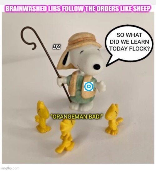 Don't be sheeple Woodstocks | DZ | image tagged in brainwashed,libtard,losers,voting,republican,president trump | made w/ Imgflip meme maker