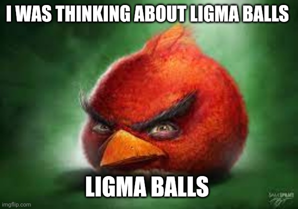 Realistic Red Angry Birds | I WAS THINKING ABOUT LIGMA BALLS; LIGMA BALLS | image tagged in realistic red angry birds | made w/ Imgflip meme maker