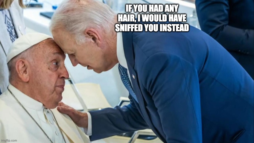 Biden and the Pope | IF YOU HAD ANY HAIR, I WOULD HAVE SNIFFED YOU INSTEAD | image tagged in biden and the pope | made w/ Imgflip meme maker