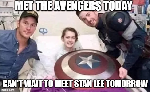 Dying to Meet Him | MET THE AVENGERS TODAY; CAN'T WAIT TO MEET STAN LEE TOMORROW | image tagged in dark humor | made w/ Imgflip meme maker