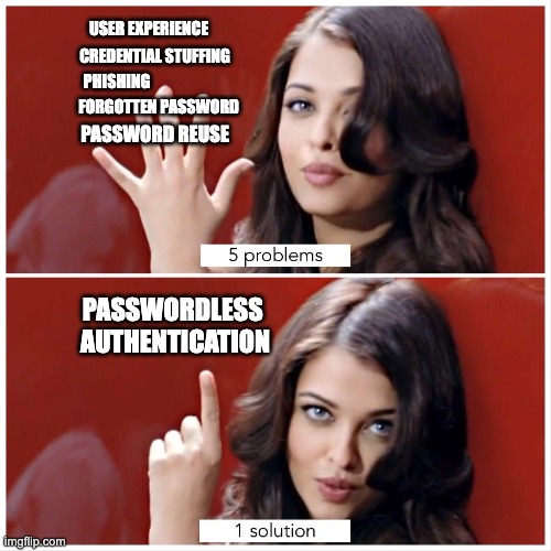 passwordless-meme-usage