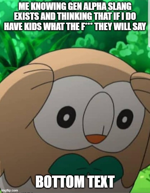 Gen alpha slang returns | ME KNOWING GEN ALPHA SLANG EXISTS AND THINKING THAT IF I DO HAVE KIDS WHAT THE F*** THEY WILL SAY; BOTTOM TEXT | image tagged in rowlet pokemon meme | made w/ Imgflip meme maker