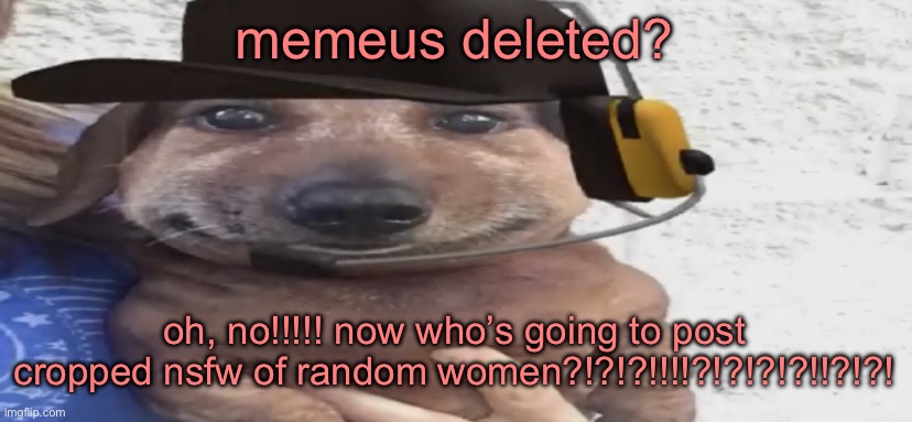 chucklenuts | memeus deleted? oh, no!!!!! now who’s going to post cropped nsfw of random women?!?!?!!!!?!?!?!?!!?!?! | image tagged in chucklenuts | made w/ Imgflip meme maker