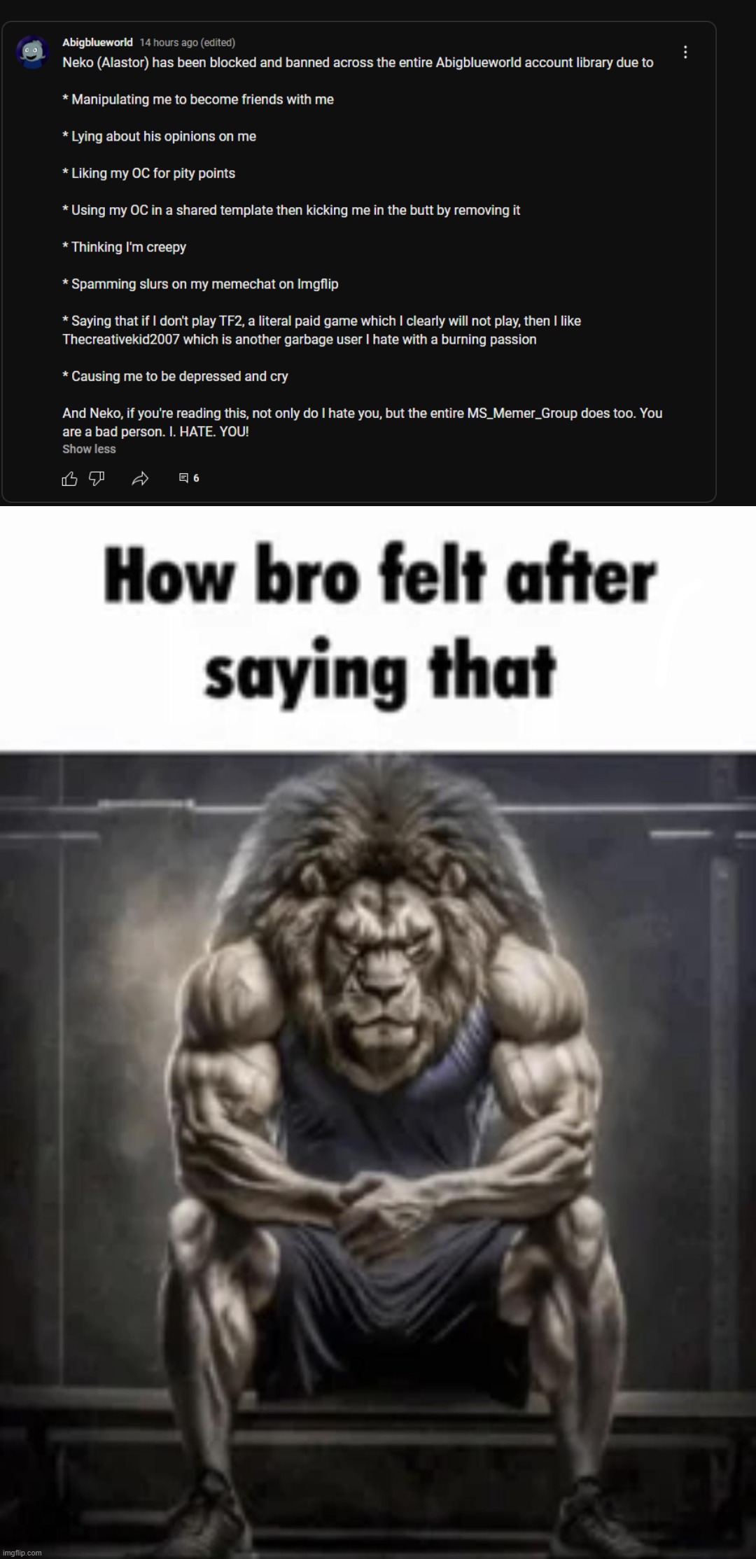 IMma leave a hate comment, link in comments, and FluWorld, not ALL of MSMG hates me BTW | image tagged in how bro felt after saying that | made w/ Imgflip meme maker