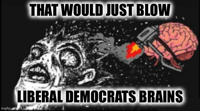 Brain Jetpack | THAT WOULD JUST BLOW LIBERAL DEMOCRATS BRAINS | image tagged in brain jetpack | made w/ Imgflip meme maker