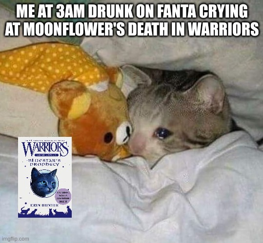 Crying cat | ME AT 3AM DRUNK ON FANTA CRYING AT MOONFLOWER'S DEATH IN WARRIORS | image tagged in crying cat,fanta,cats,meme | made w/ Imgflip meme maker