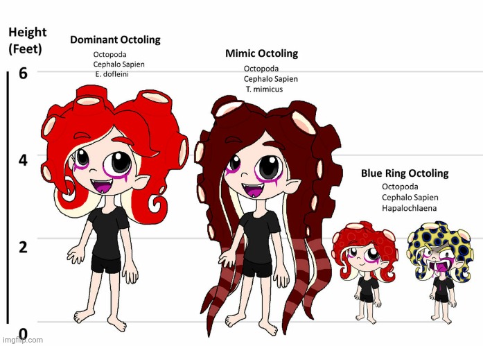 Octoling SubSpecies and Size Chart (Art and size chart by Rotommowtom) | made w/ Imgflip meme maker