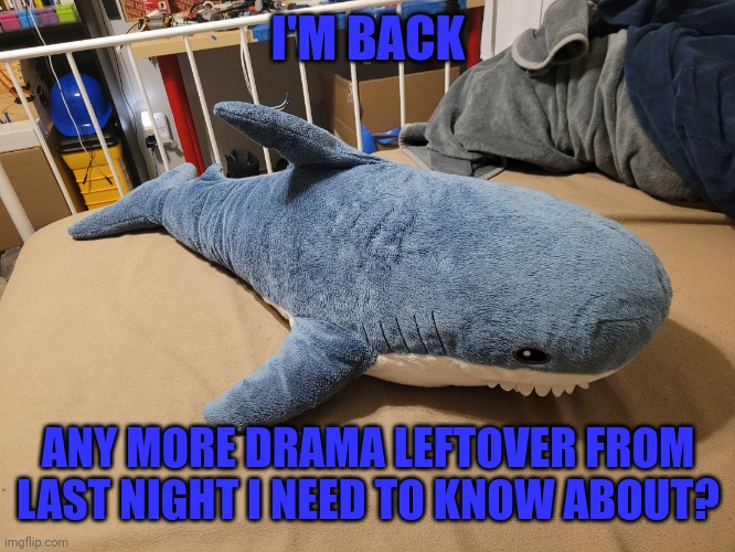 Also, Gm | I'M BACK; ANY MORE DRAMA LEFTOVER FROM LAST NIGHT I NEED TO KNOW ABOUT? | image tagged in buh | made w/ Imgflip meme maker