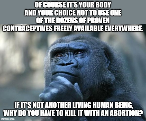 A logical progression... | OF COURSE IT'S YOUR BODY AND YOUR CHOICE NOT TO USE ONE OF THE DOZENS OF PROVEN CONTRACEPTIVES FREELY AVAILABLE EVERYWHERE. IF IT'S NOT ANOTHER LIVING HUMAN BEING, WHY DO YOU HAVE TO KILL IT WITH AN ABORTION? | image tagged in deep thoughts | made w/ Imgflip meme maker