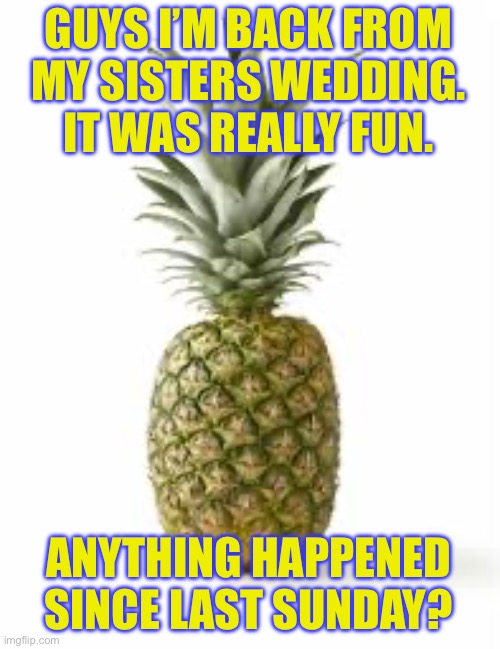 Sethamphetamine announcement temp | GUYS I’M BACK FROM MY SISTERS WEDDING. IT WAS REALLY FUN. ANYTHING HAPPENED SINCE LAST SUNDAY? | image tagged in sethamphetamine announcement temp | made w/ Imgflip meme maker
