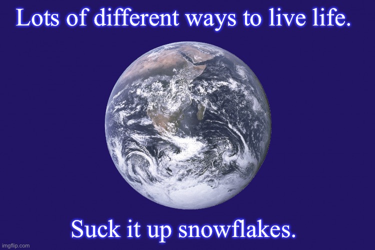 Lots of ways to live | Lots of different ways to live life. Suck it up snowflakes. | image tagged in earth day flag | made w/ Imgflip meme maker