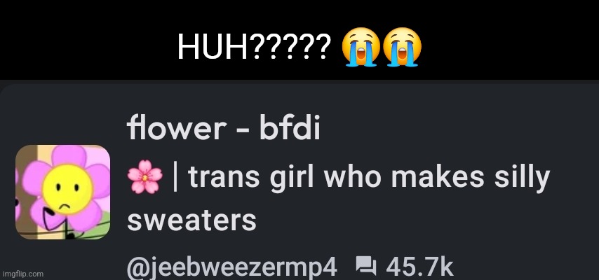 I mean I know the sweater part but Trans??? | HUH????? 😭😭 | made w/ Imgflip meme maker