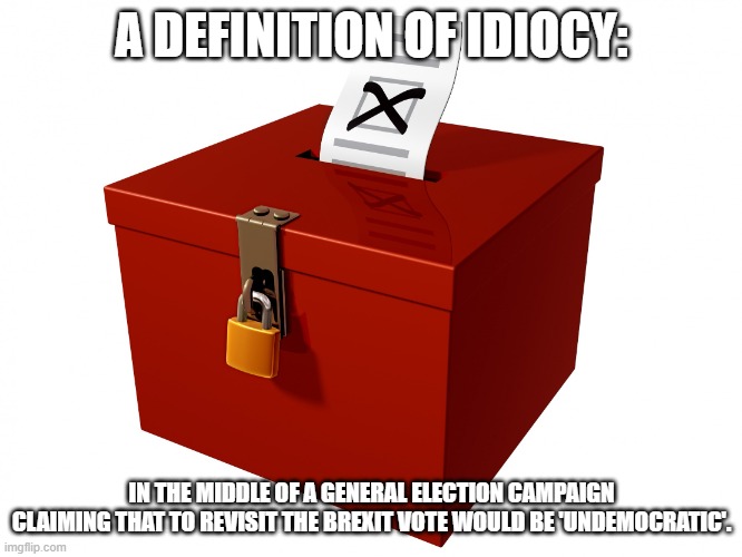 General Election UK | A DEFINITION OF IDIOCY:; IN THE MIDDLE OF A GENERAL ELECTION CAMPAIGN
CLAIMING THAT TO REVISIT THE BREXIT VOTE WOULD BE 'UNDEMOCRATIC'. | image tagged in ballot box | made w/ Imgflip meme maker