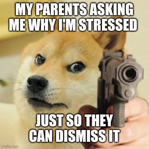 Idk | MY PARENTS ASKING ME WHY I'M STRESSED; JUST SO THEY CAN DISMISS IT | image tagged in doge holding a gun,beginnerterms | made w/ Imgflip meme maker