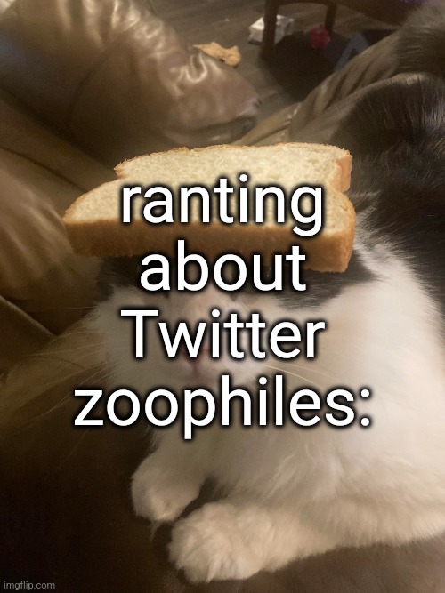 check comments | ranting about Twitter zoophiles: | made w/ Imgflip meme maker