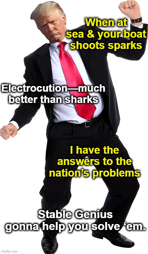 Trumpy Shark Dance | When at sea & your boat shoots sparks; Electrocution—much better than sharks; I have the answers to the nation’s problems; Stable Genius gonna help you solve ‘em. | image tagged in maga,donald trump is an idiot,donald trump approves,trump,nevertrump meme,presidential race | made w/ Imgflip meme maker