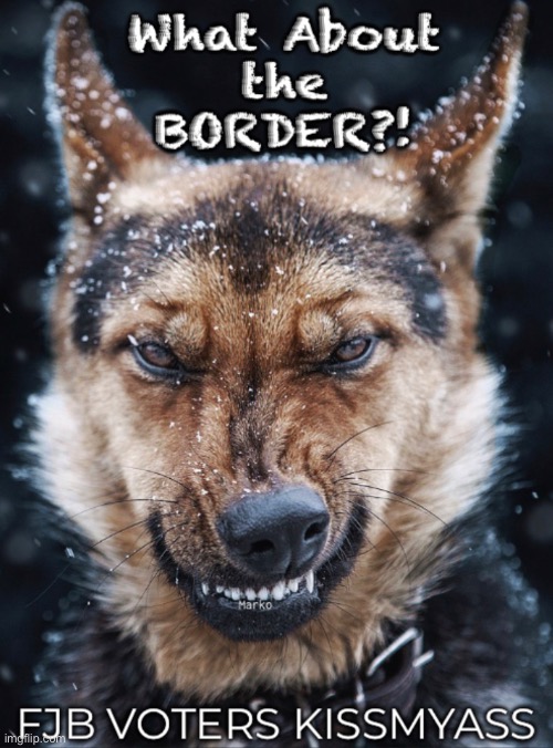 Irreversible | image tagged in memes,america killer,yhanks fjb voters | made w/ Imgflip meme maker