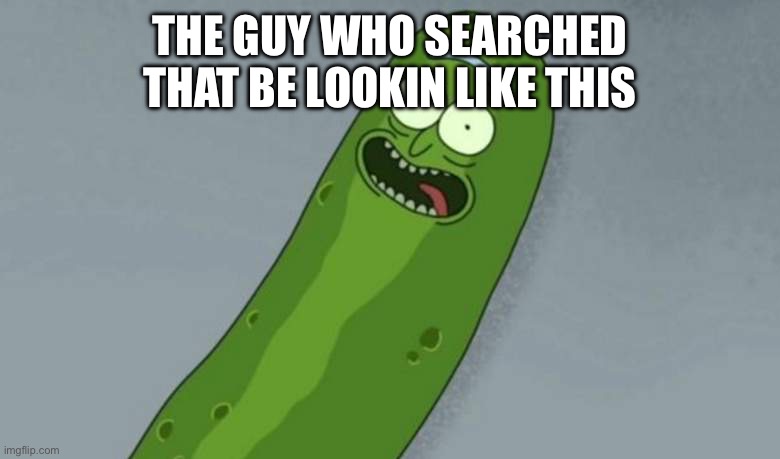 Pickle rick | THE GUY WHO SEARCHED THAT BE LOOKIN LIKE THIS | image tagged in pickle rick | made w/ Imgflip meme maker