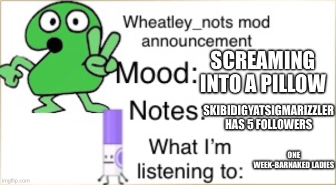 Mad | SCREAMING INTO A PILLOW; SKIBIDIGYATSIGMARIZZLER HAS 5 FOLLOWERS; ONE WEEK-BARNAKED LADIES | image tagged in bfdi wheatley_not announcement temp | made w/ Imgflip meme maker