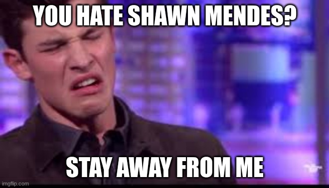 When someone tells you i hate Shawn Mendes | YOU HATE SHAWN MENDES? STAY AWAY FROM ME | image tagged in when someone tells you i hate shawn mendes | made w/ Imgflip meme maker