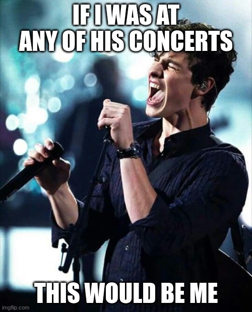 Shawn Mendez screaming | IF I WAS AT ANY OF HIS CONCERTS; THIS WOULD BE ME | image tagged in shawn mendez screaming | made w/ Imgflip meme maker