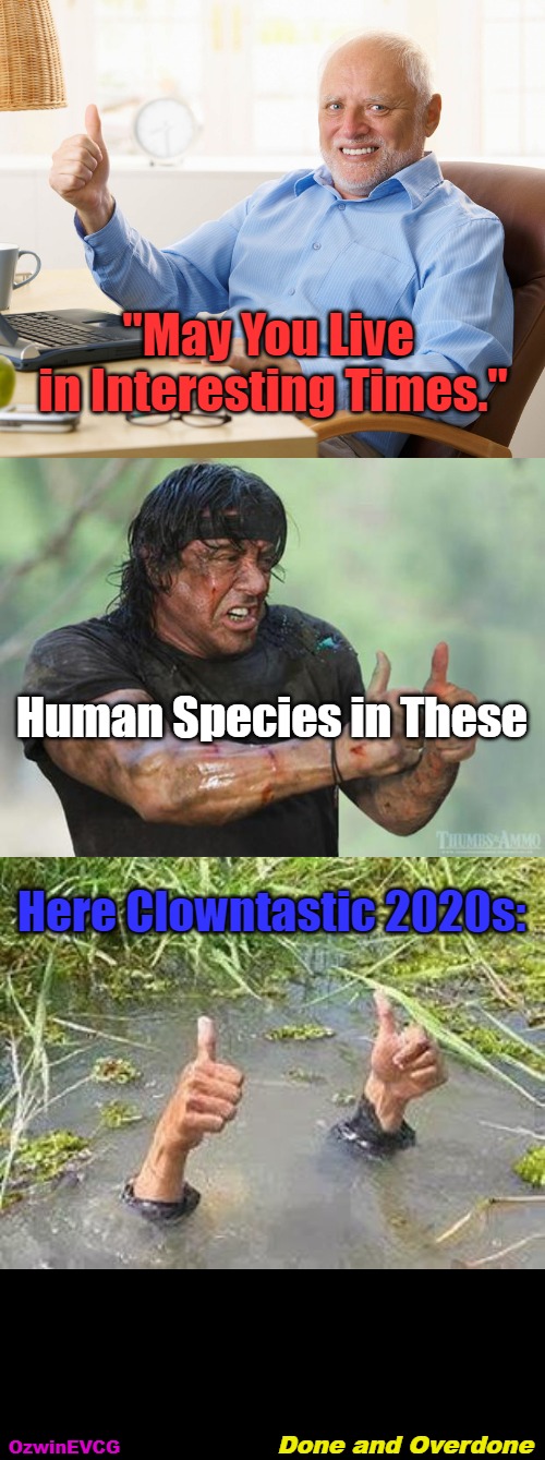 Done and Overdone #Clowntastic | "May You Live 

in Interesting Times."; Human Species in These; Here Clowntastic 2020s:; Done and Overdone; OzwinEVCG | image tagged in famous quotes,clown world,clown world wig,clown world afro wig,lawnmower haircut,2020s | made w/ Imgflip meme maker