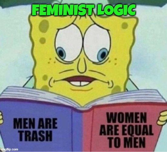 Feminism in a nutshell | FEMINIST LOGIC | image tagged in feminism,feminist,women rights,female logic,feminazi,hypocritical feminist | made w/ Imgflip meme maker