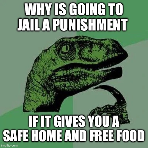 E | WHY IS GOING TO JAIL A PUNISHMENT; IF IT GIVES YOU A SAFE HOME AND FREE FOOD | image tagged in raptor asking questions | made w/ Imgflip meme maker