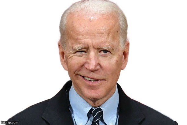 Goofy Biden | image tagged in goofy biden | made w/ Imgflip meme maker