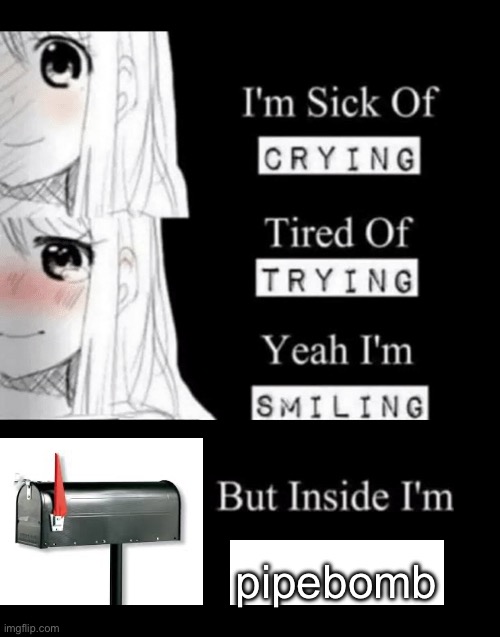 I'm Sick Of Crying | pipebomb | image tagged in i'm sick of crying | made w/ Imgflip meme maker