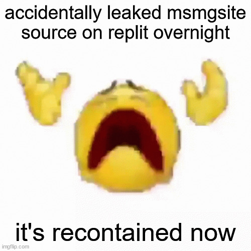 :nooo: | accidentally leaked msmgsite source on replit overnight; it's recontained now | image tagged in nooo | made w/ Imgflip meme maker