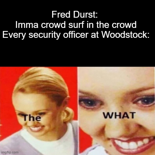 Into the already violent crowd | Fred Durst: 
Imma crowd surf in the crowd
Every security officer at Woodstock: | image tagged in the what | made w/ Imgflip meme maker