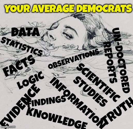 Average Democrat | YOUR AVERAGE DEMOCRATS; DATA; STATISTICS; OBSERVATIONS; UN-DOCTORED
REPORTS; FACTS; LOGIC; SCIENTIFIC
STUDIES; FINDINGS; INFORMATION; EVIDENCE; TRUTH; KNOWLEDGE | image tagged in democrats,fake news,facts,evidence,data,drowning | made w/ Imgflip meme maker