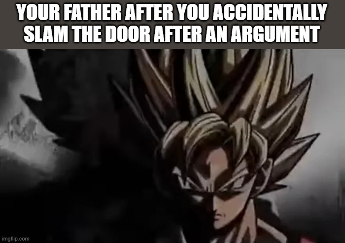 Goku Staring | YOUR FATHER AFTER YOU ACCIDENTALLY SLAM THE DOOR AFTER AN ARGUMENT | image tagged in goku staring,memes,father,oh no,i'm dead | made w/ Imgflip meme maker