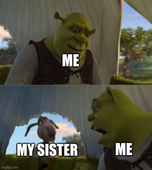 Could you not ___ for 5 MINUTES | ME; MY SISTER; ME | image tagged in could you not ___ for 5 minutes | made w/ Imgflip meme maker