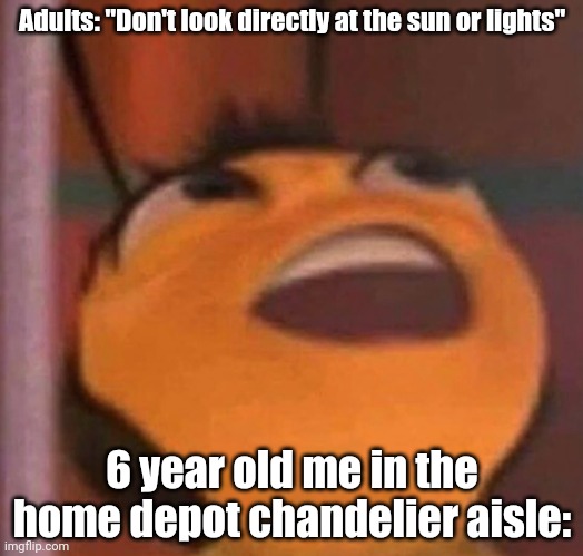 Home depot is still magical | Adults: "Don't look directly at the sun or lights"; 6 year old me in the home depot chandelier aisle: | image tagged in bee movie | made w/ Imgflip meme maker