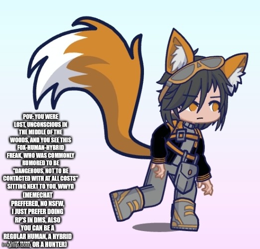 decided to start one myself | POV: YOU WERE LOST, UNCONSCIOUS IN THE MIDDLE OF THE WOODS, AND YOU SEE THIS FOX-HUMAN-HYBRID FREAK, WHO WAS COMMONLY RUMORED TO BE "DANGEROUS, NOT TO BE CONTACTED WITH AT ALL COSTS" SITTING NEXT TO YOU, WWYD; (MEMECHAT PREFFERED, NO NSFW, I JUST PREFER DOING RP'S IN DMS, ALSO YOU CAN BE A REGULAR HUMAN, A HYBRID LIKE HIM, OR A HUNTER) | image tagged in rp | made w/ Imgflip meme maker