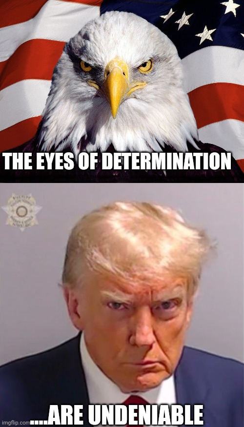 Symbols of freedom | THE EYES OF DETERMINATION; ....ARE UNDENIABLE | image tagged in freedom eagle,trump's mugshot | made w/ Imgflip meme maker